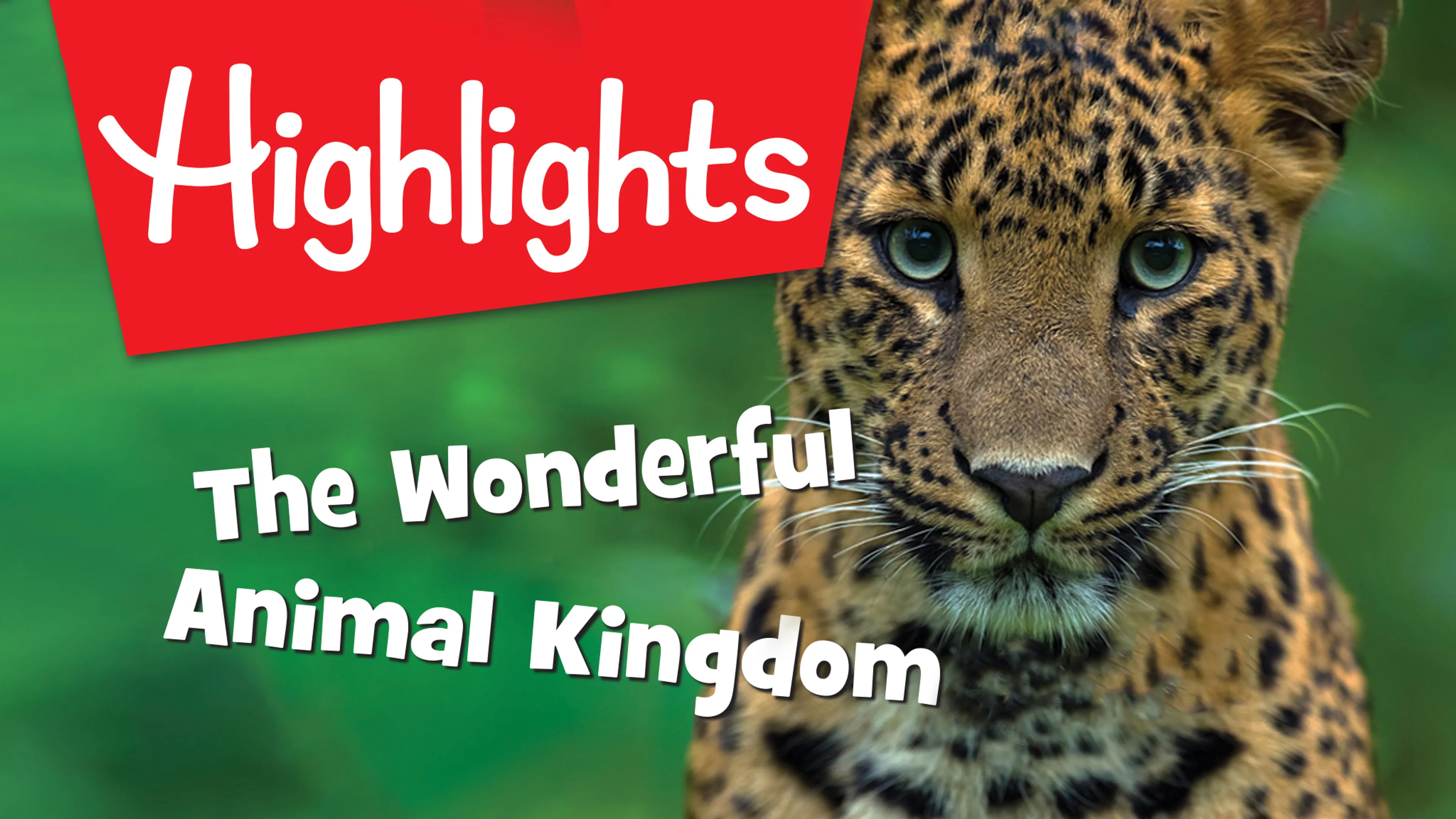 Highlights: The Wonderful Animal Kingdom poster